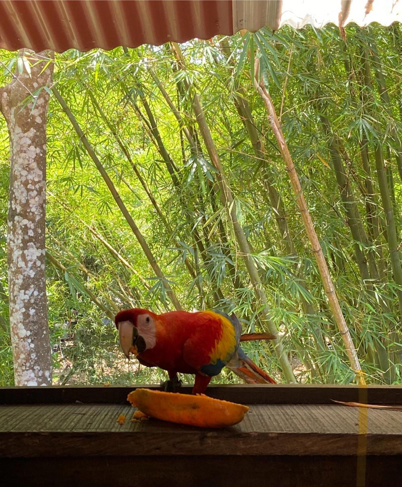 Hostal Las Mariposas Минка Экстерьер фото