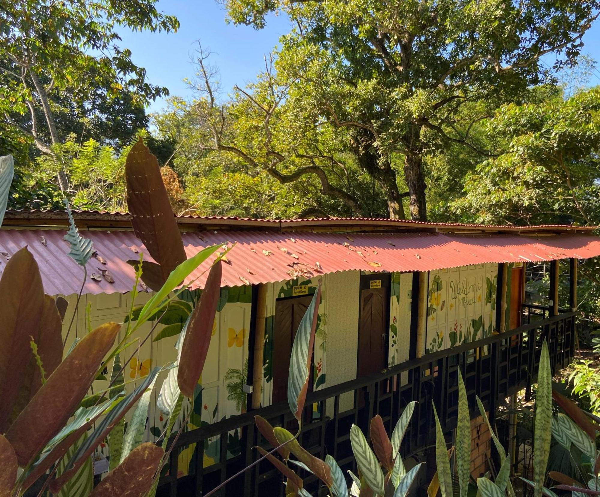 Hostal Las Mariposas Минка Экстерьер фото