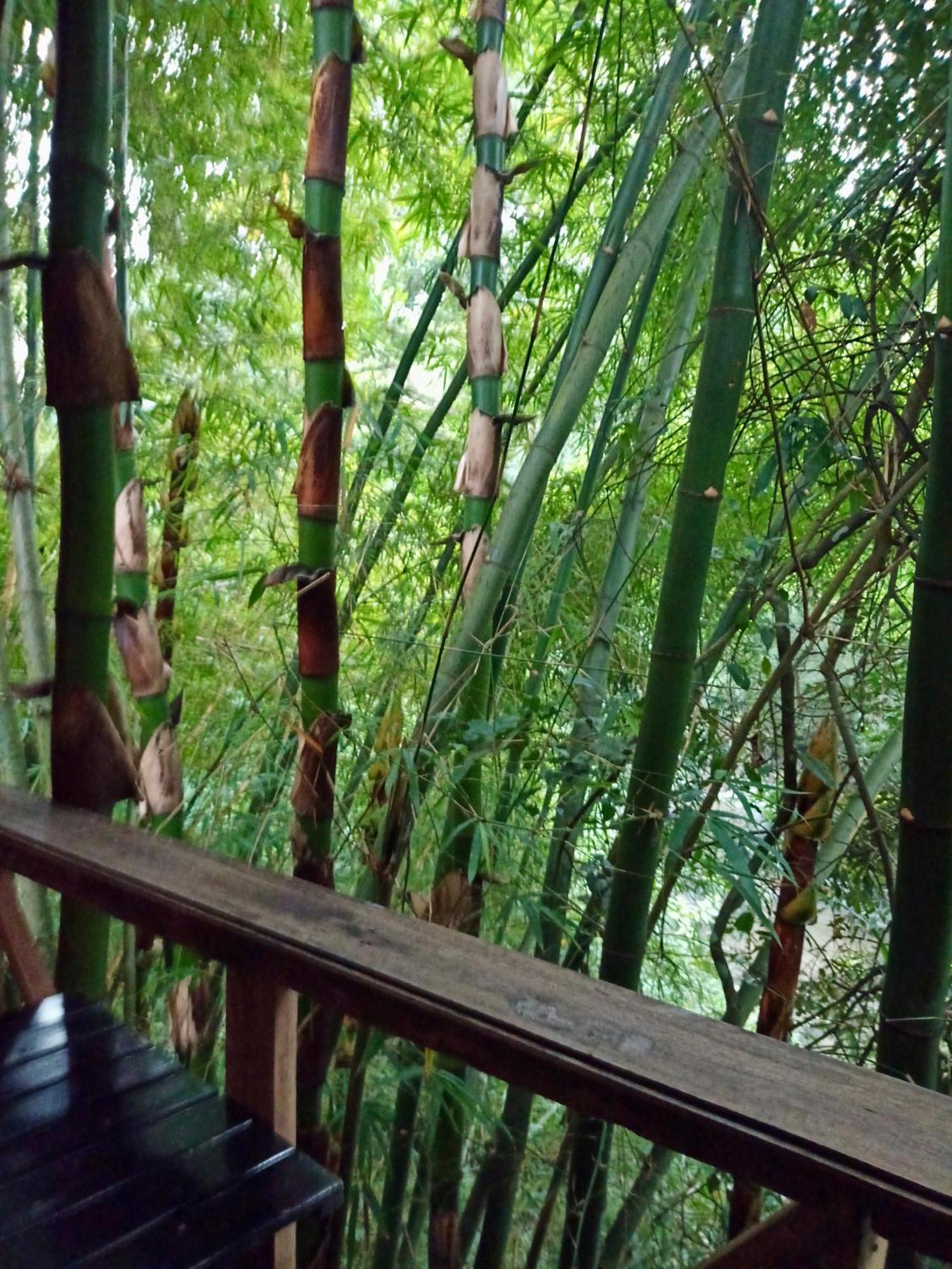 Hostal Las Mariposas Минка Экстерьер фото